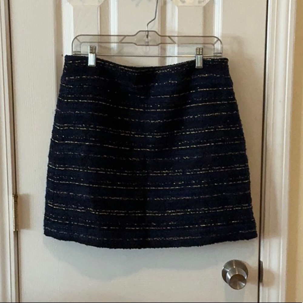 Elegant Navy Blue and Gold Skirt
